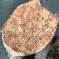 برگری بچه فیله خرده مرغ