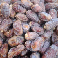 دمیت قصب وبریمی