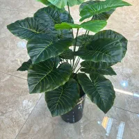 درختچه مصنوعی|گل مصنوعی|اهواز, گلستان|دیوار