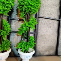 درختچه کد ۰۴۳|گل مصنوعی|فردیس, فردیس|دیوار