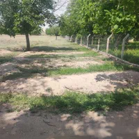 زمین در شاهلق پایین باغ تبریزی