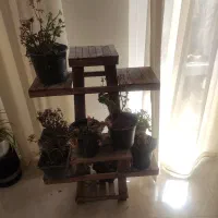 آینه|آینه|مشهد, وکیل‌آباد|دیوار