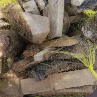عرضه چوب آتیشی