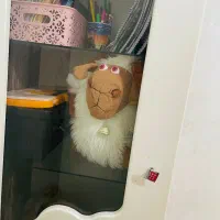 ویترین و کتابخانه کودک|کتابخانه، شلف، قفسههای دیواری|زاهدان, |دیوار