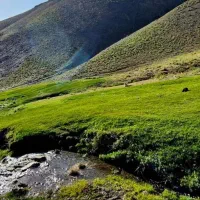 نیازمند خانه
