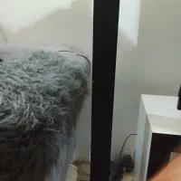 باند سینما خانواده سامسونگ