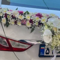 بک گراند بله برون وتالاروماشین عروس و دسته گل عروس|خدمات پذیرایی، مراسم|قم, آذر (نکویی)|دیوار