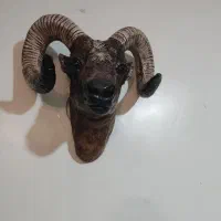 گوزن