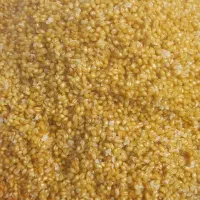 بلغور|خوردنی و آشامیدنی|بناب, |دیوار