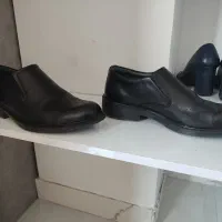 کفش مارال چرم سایز 43نو
