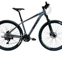 دوچرخه RAPIDO ELITE 29