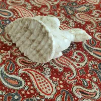 اینه شمعدان سنگی و سنگ پای عروس سنگی دست تراش|آینه|تهران, خواجه نظام الملک|دیوار