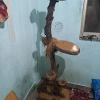 کیف و کوله پشتی وکفش بچگانه