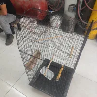 قفسه پرنده طوطی،عروس هلندی با تجهیزات، ۷۰۰|لوازم جانبی حیوانات|اصفهان, قلعه طبره|دیوار