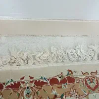 فرش|فرش|پرند, فاز ۱|دیوار