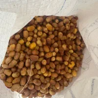 قصب تازه|خوردنی و آشامیدنی|شیراز, رکن‌آباد|دیوار