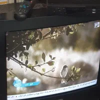 تلوزیون ۲۱ اینچ پارس گراندیک قدیم بهمراه دیجتال