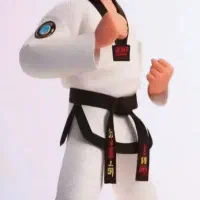 پرورش قهرمانان کوچک در  باشگاه تکوانـدو گیـو