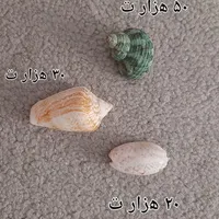 وسایل کلکسیونی و تزئینی|کلکسیون و سرگرمی|سمنان, |دیوار