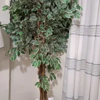 درختچه مصنوعیی