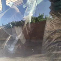 پراید معاوضه با|خودرو سواری و وانت|کرمان, |دیوار