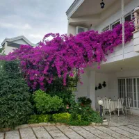 اجاره روزانه/هفتگی/ماهانه ویلا ۹۰ متری