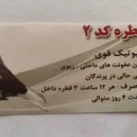 انواع دارو های کبوتر صددرصد تضمینی|لوازم جانبی حیوانات|شیراز, پودنک|دیوار