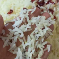 برنج کامفیروزی،و نیم دانه و خرده آشی اعلا،به شرط|خوردنی و آشامیدنی|شیراز, شهرک گلستان|دیوار