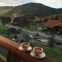 استخدام ادمین