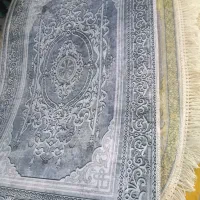 پادری مخملی و فرشینه