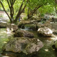 تور یک روزه بانوان