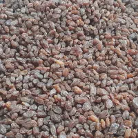 کشمش بیدانه|خوردنی و آشامیدنی|تاکستان, |دیوار