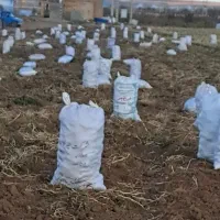 زمین-کشاورزی-3000متر-مخصوص-گلخانه-و-باغ-با-اب