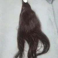 مو مصنویی|آرایشی، بهداشتی، درمانی|مشهد, نظام دوست|دیوار