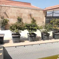 فروش باغ ویلا 500متری درخت دار|فروش خانه و ویلا|اصفهان, پارک مشتاق|دیوار