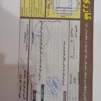 پارس بدون رنگ شاسی سالم|خودرو سواری و وانت|شاهرود, |دیوار