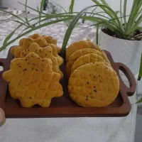 کلوچه