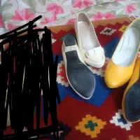 کفش مجلسی|کیف، کفش، کمربند|شیراز, ریشمک|دیوار