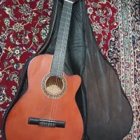 گیتار دیاموند