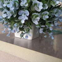 گل و تنگ ماهی