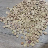 لوبیای دولپه اشی|خوردنی و آشامیدنی|شیراز, گلشن|دیوار