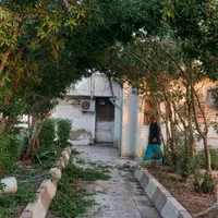 بریدن انواع درخت ودرختان مزاحم وهرس درخت|خدمات باغبانی و درختکاری|اهواز, پادادشهر|دیوار