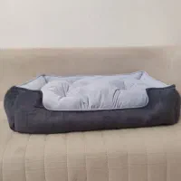 جاخواب سگ و گربه