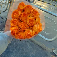 دسته گل و باکس|گل و گیاه طبیعی|شیراز, کاراندیش|دیوار