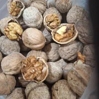 گردو درگز|خوردنی و آشامیدنی|درگز, |دیوار