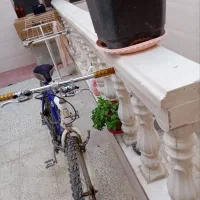 دوچرخه 26 بدنه آهن|دوچرخه، اسکیت، اسکوتر|پیشوا, |دیوار