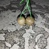 جفت مهره سلیمانی|کلکسیون اشیاء عتیقه|قم, نخودی|دیوار