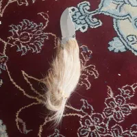 چاقو|کلکسیون اشیاء عتیقه|شیراز, دارالرحمه|دیوار