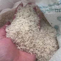 برنج طارم هاشمی درجه یک