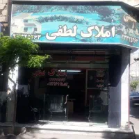 مغازه-فروشی